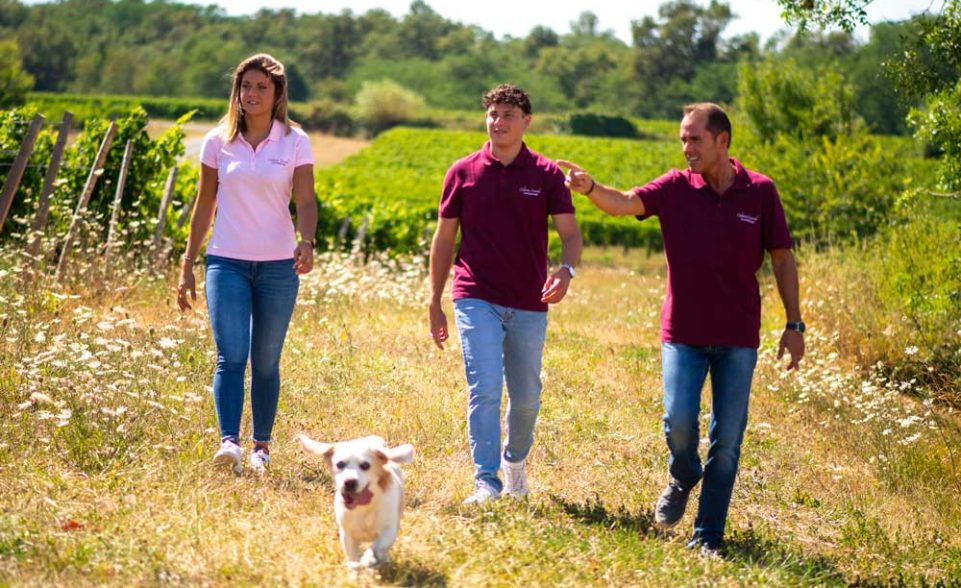 equipe-chien-vignes-chateau-laroche equipe-chien-vignes-chateau-laroche